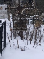 Саюшкина Наташа